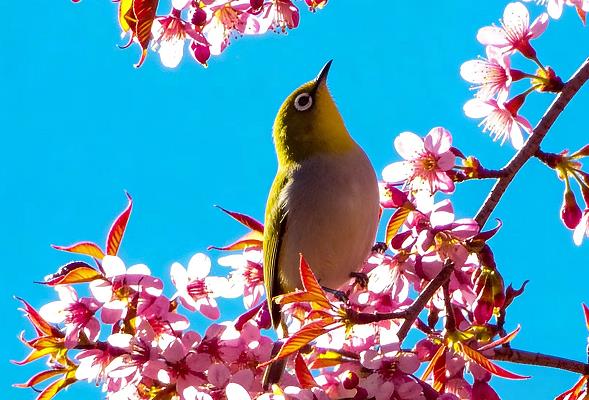 1767063705572877.jpg 3.jpg