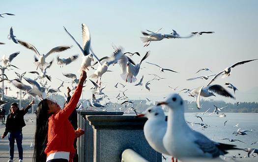 1767195376728987.jpg 1.jpg