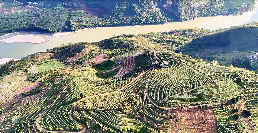 1767496139705513.jpg 1.jpg