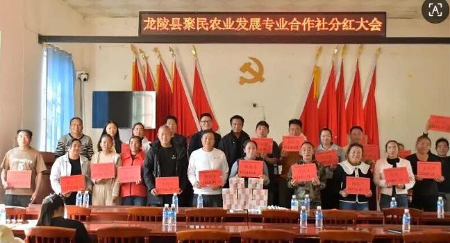 1767526060985385.jpg 3.jpg