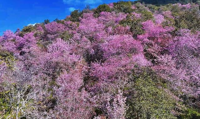 1767667651251081.jpg 1.jpg