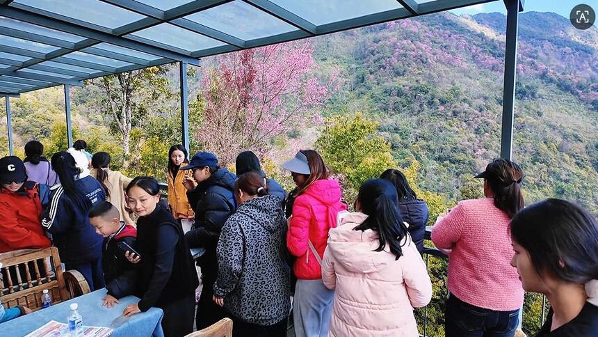 1767667687272761.jpg 3.jpg