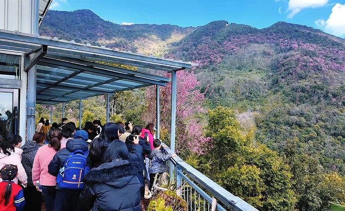 1767667716641561.jpg 5.jpg