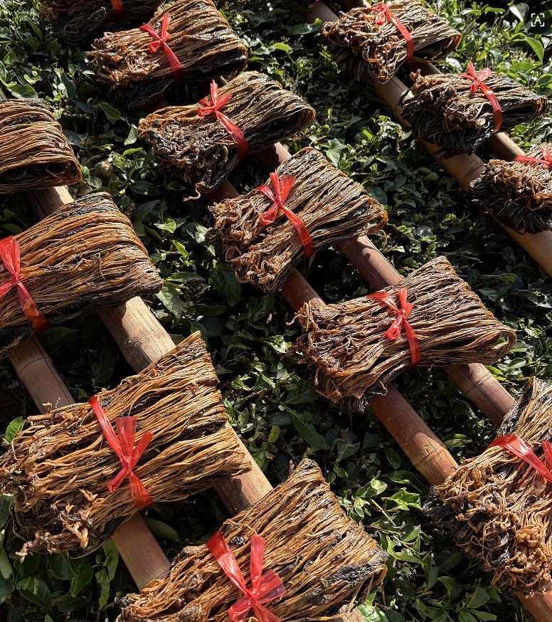 1767842493330075.jpg 5.jpg