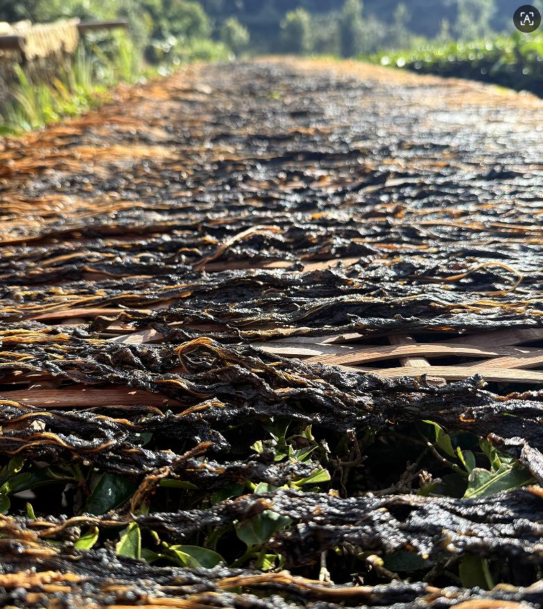 1767842506169917.jpg 6.jpg