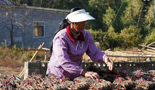 1767842516558581.jpg 7.jpg