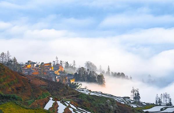 1768269678309923.jpg 5.jpg