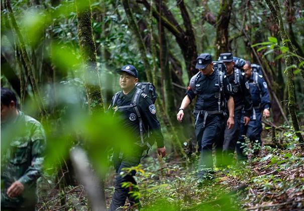 1768360864902882.jpg 1.jpg