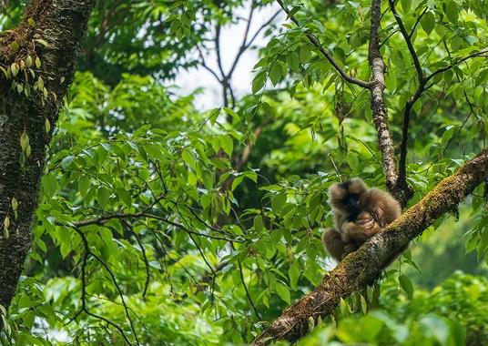 1768360879307871.jpg 2.jpg