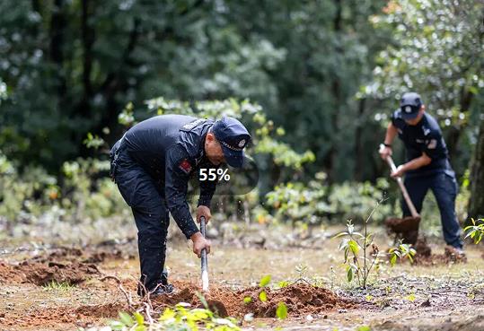 1768360893440282.jpg 3.jpg