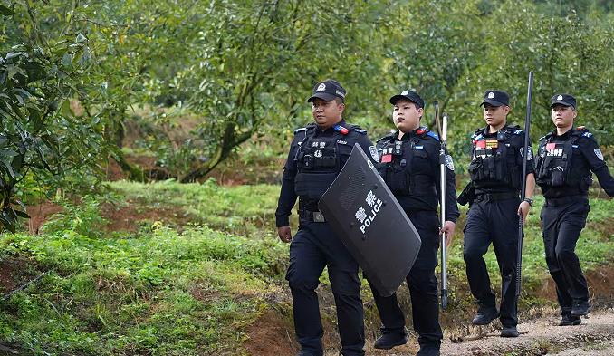 1768883183692613.jpg 0.jpg