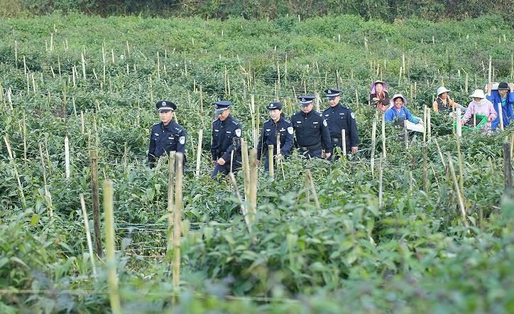 1769049482782509.jpg 2.jpg