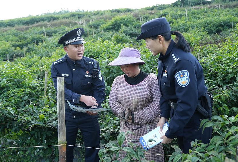 1769049494127977.jpg 3.jpg