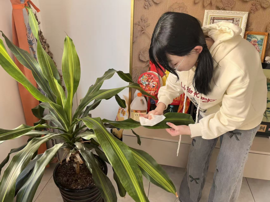 1770713587310280.png image.png