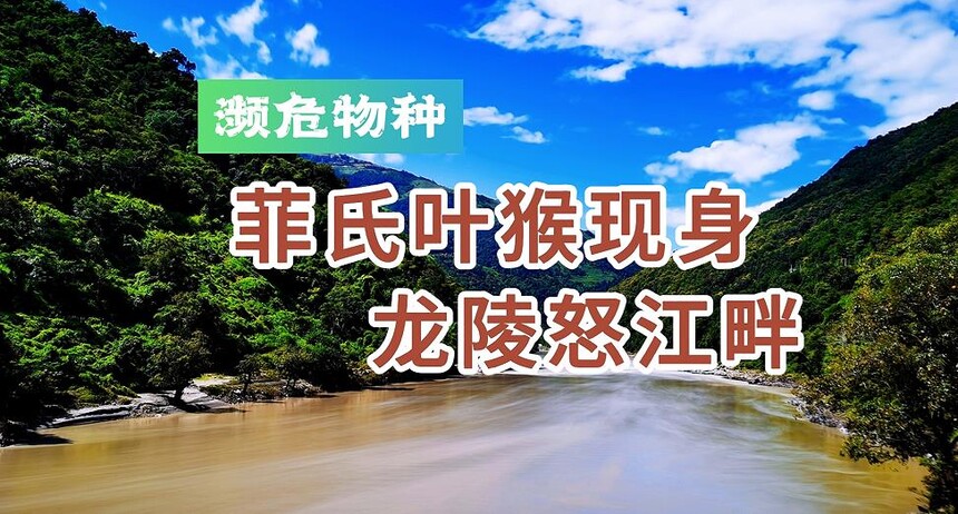 1773370162808114.jpg 0.jpg