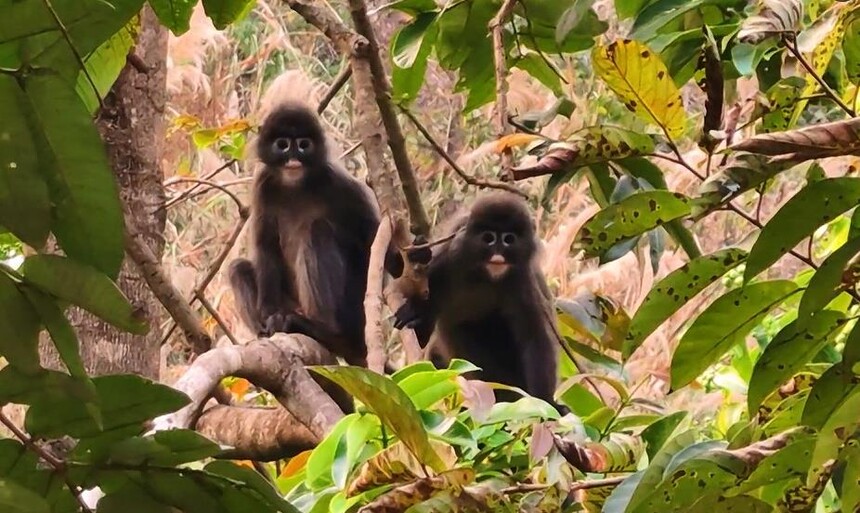 1773370178843509.jpg 01.jpg