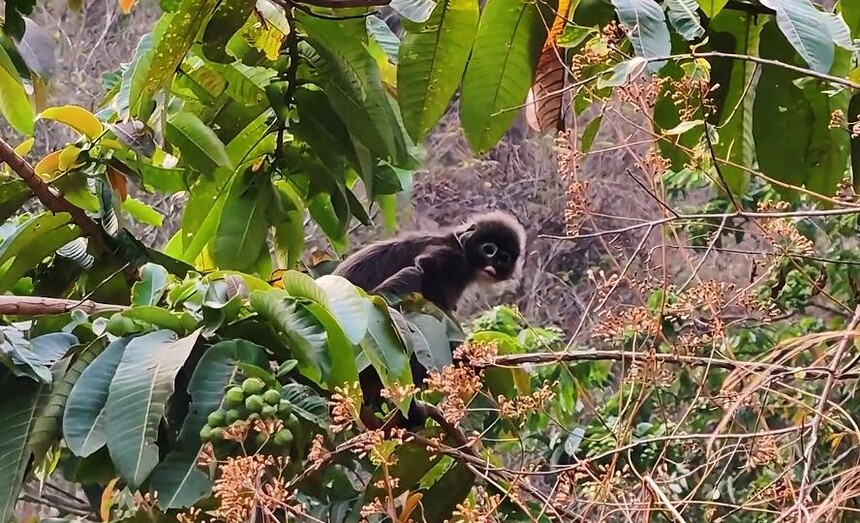 1773370194102113.jpg 02.jpg