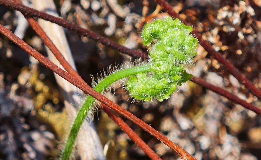 1773458227815786.jpg 1.jpg