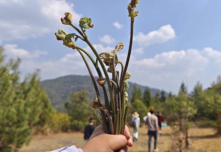 1773458242796285.jpg 2.jpg