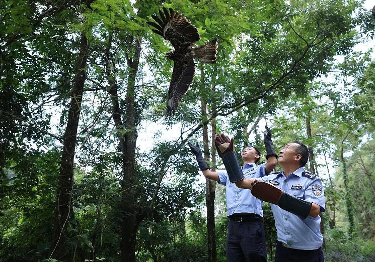 1773731310149665.jpg 1.jpg