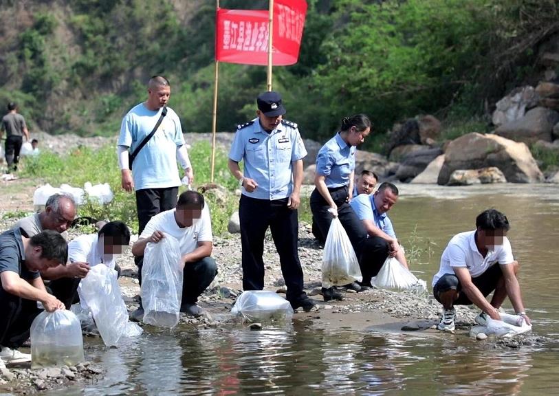 1773731347166058.jpg 3.jpg