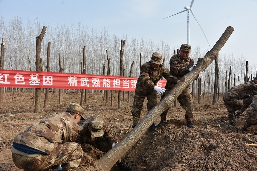 1773907494718634.jpg 配图1.JPG