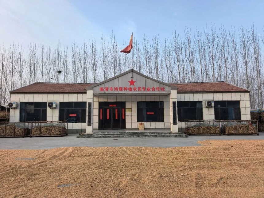 1773910367823381.jpg fc7e3da3c68df087f2cb2cf5405c6138.jpg