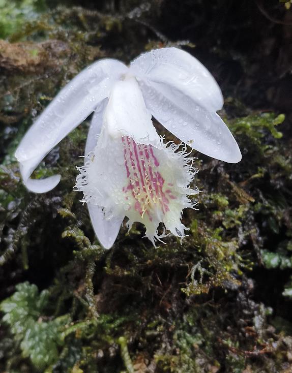 1774422131651383.jpg 1.jpg