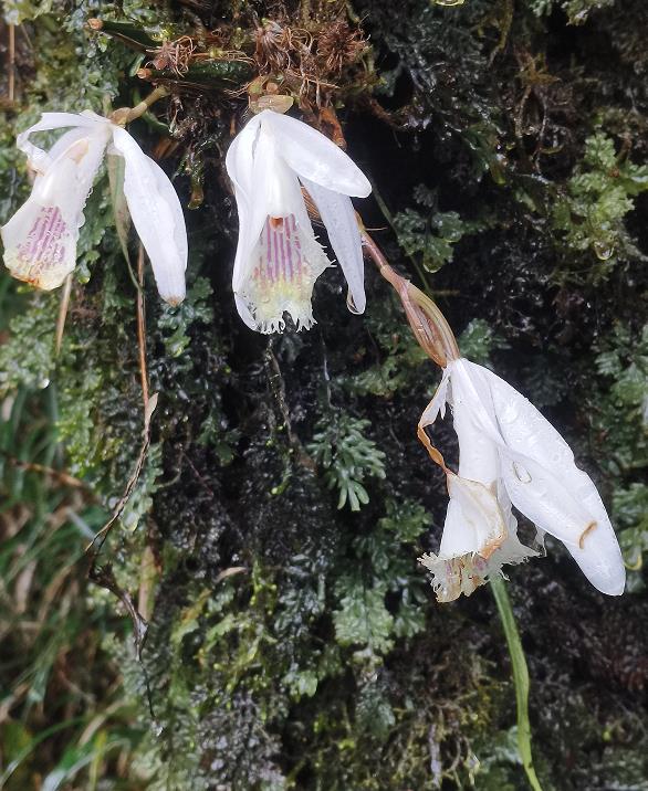 1774422148271332.jpg 2.jpg