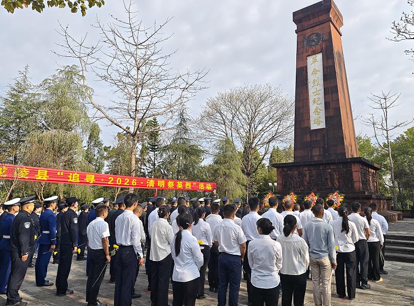 1775204652862361.jpg 1.jpg