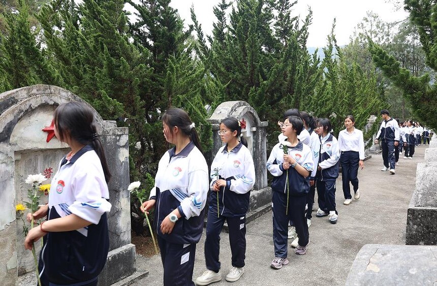 1775204682497067.jpg 3.jpg