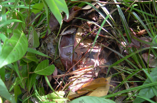 1775613897653719.png 3.png