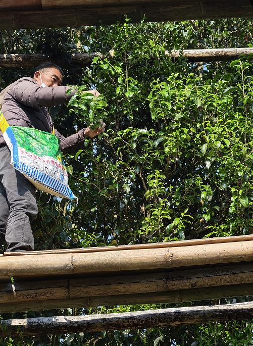 1775893906677887.jpg 3.jpg