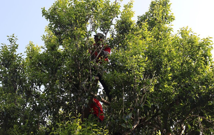 1775893920625020.jpg 4.jpg