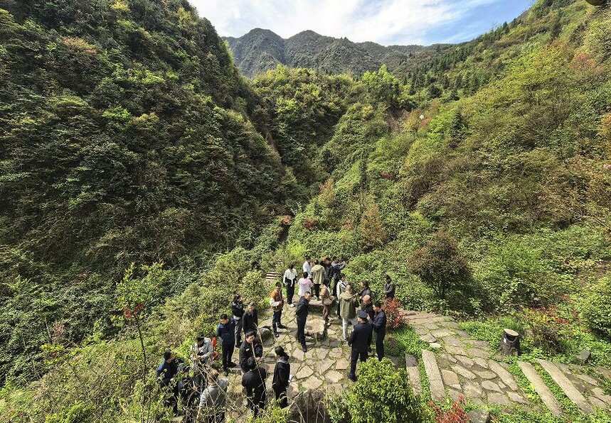 1775976459551679.jpg 1.jpg