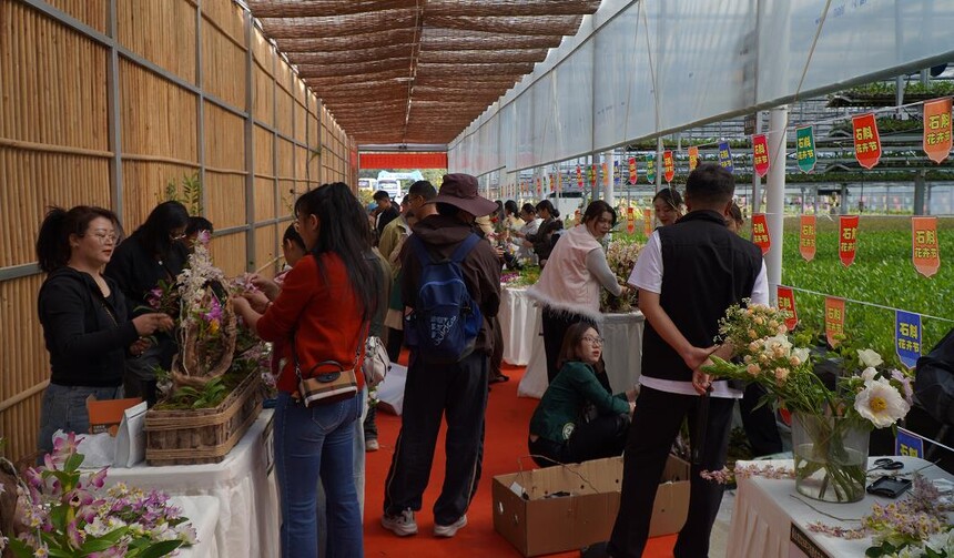 1776047282804146.jpg 1.jpg