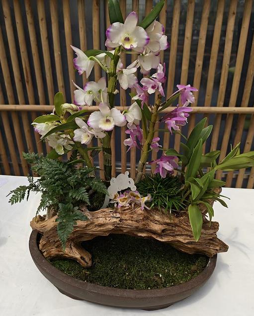 1776047292299347.jpg 2.jpg