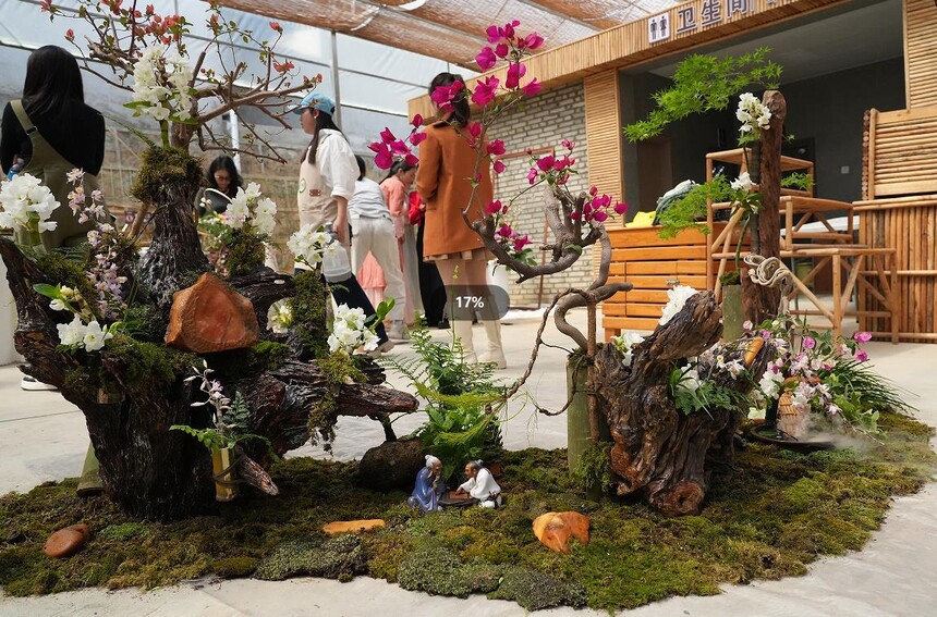 1776047306738600.jpg 3.jpg