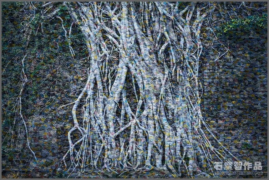 1649172583361485.jpg 6.jpg