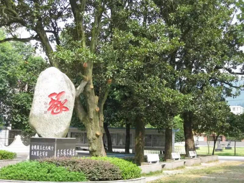 1649173405781883.jpg 徐5.jpg