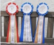 rosettes (1)