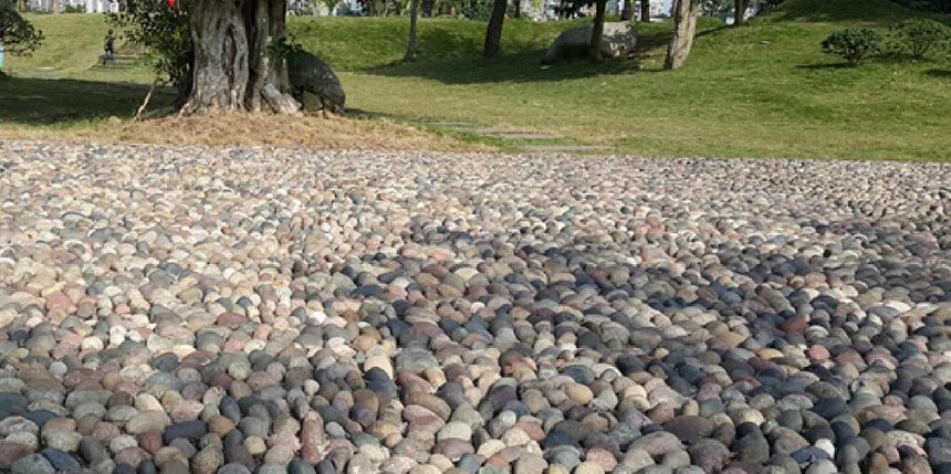 1638518086118148.jpg 25.jpg