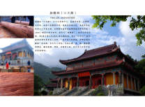 大雄寶殿修復(fù)