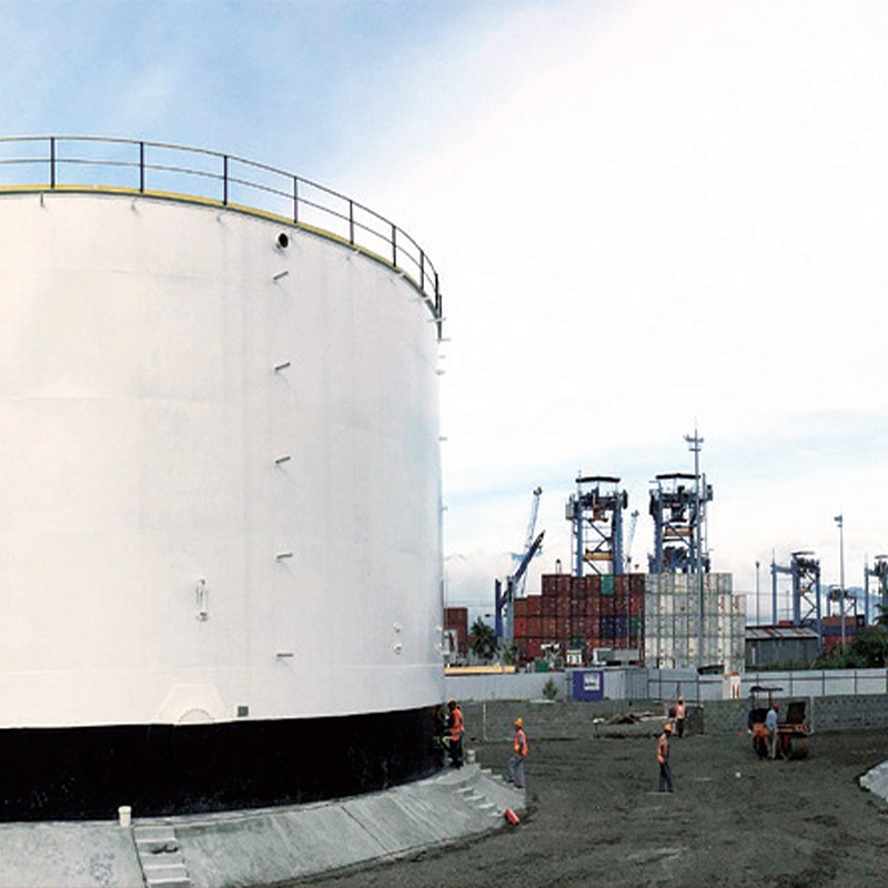 8317786_1639015086 (1).jpg