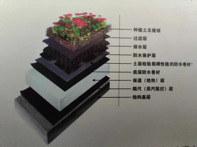 1646794023987829.jpg