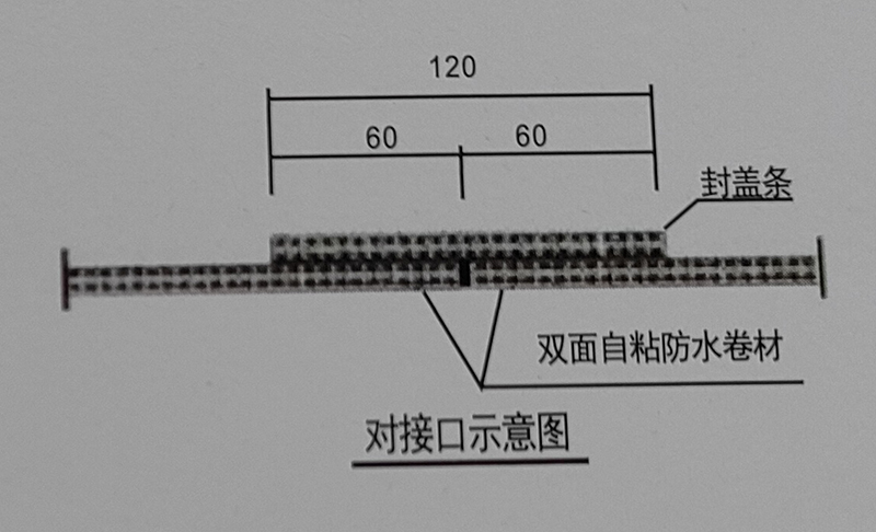 1646795325809516.jpg
