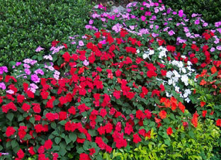 1-1P51G52024103.jpg