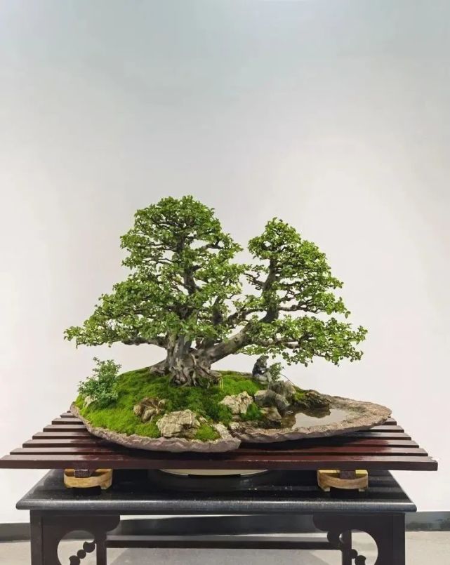 1747355562675532.jpg 春天降至4.jpg