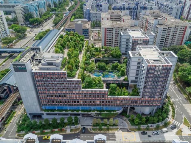 zhujianguli1.jpg