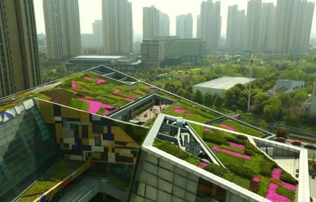 zhujianguli4.jpg